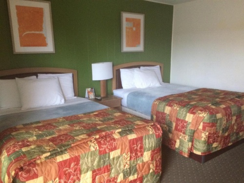 Alamo Motel image 11